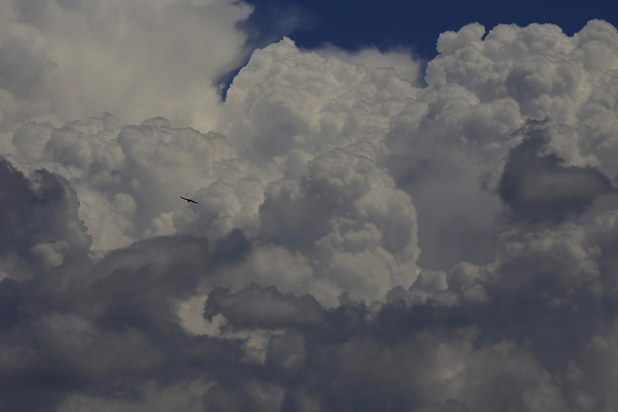 Saaser screenshot 4